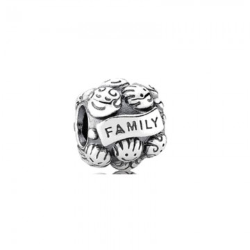 Family Portrait Silver Charm DOCY9983